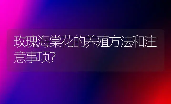 风信子只有根没有球体能活吗？ | 绿植常识