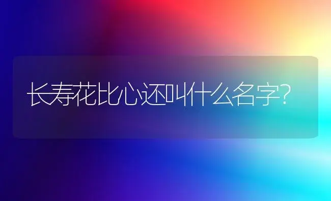 长寿花比心还叫什么名字？ | 多肉养殖