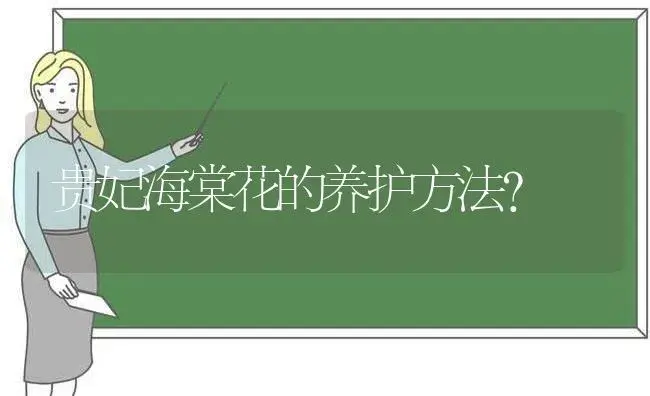 贵妃海棠花的养护方法？ | 绿植常识