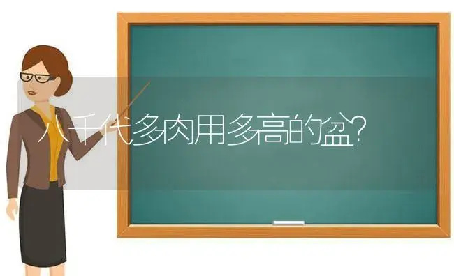 八千代多肉用多高的盆？ | 多肉养殖