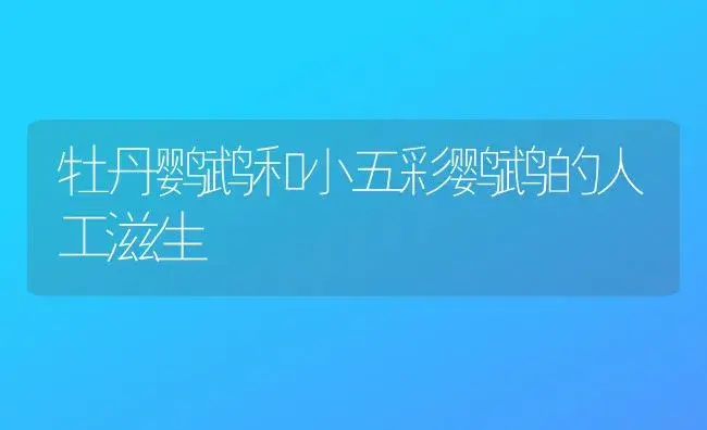 牡丹鹦鹉和小五彩鹦鹉的人工滋生 | 家庭养花