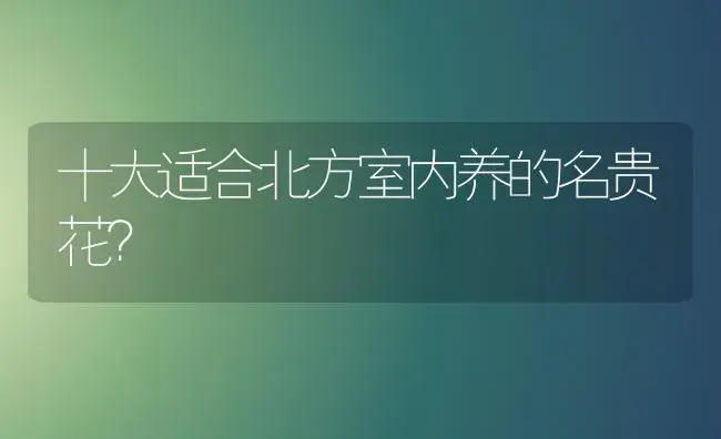 十大适合北方室内养的名贵花？ | 多肉养殖