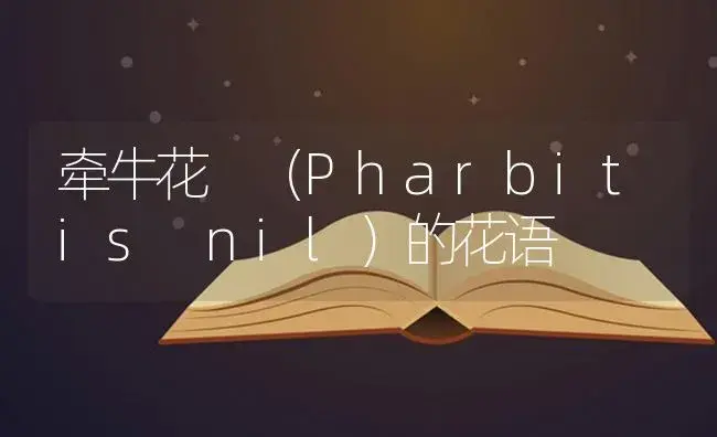 牵牛花 （Pharbitis nil）的花语 | 特种种植