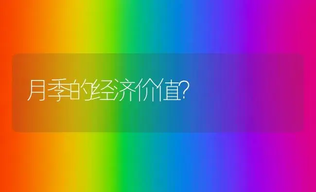 月季的经济价值？ | 绿植常识