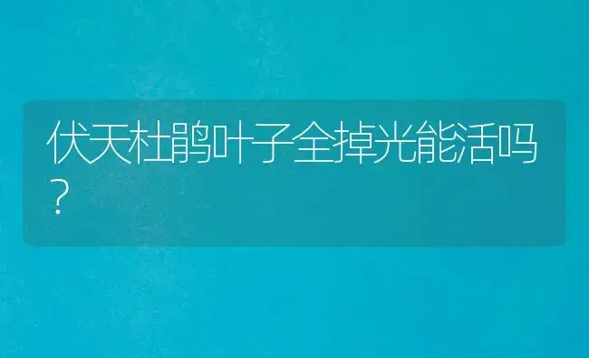 伏天杜鹃叶子全掉光能活吗？ | 绿植常识