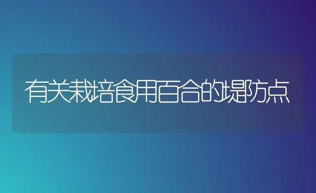 有关栽培食用百合的堤防点 | 家庭养花