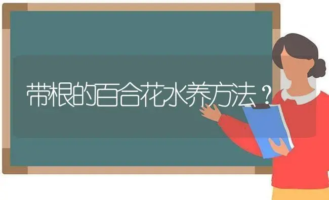 带根的百合花水养方法？ | 绿植常识