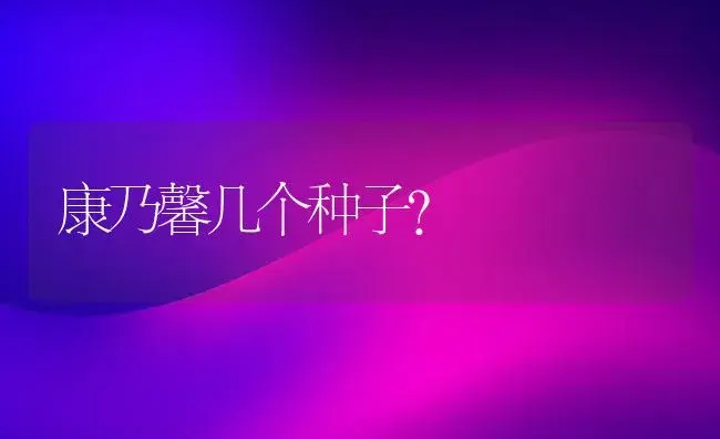 康乃馨几个种子？ | 绿植常识