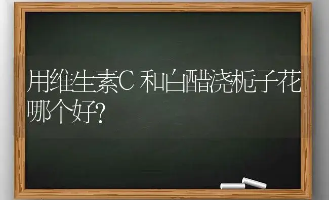 用维生素C和白醋浇栀子花哪个好？ | 绿植常识