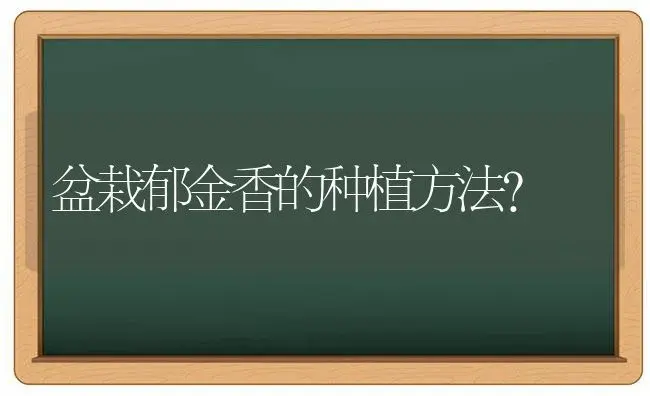 盆栽郁金香的种植方法？ | 绿植常识