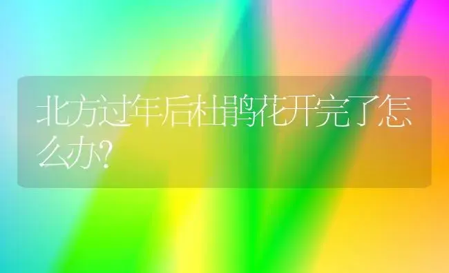 北方过年后杜鹃花开完了怎么办？ | 绿植常识