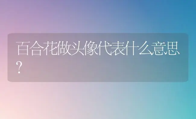 百合花做头像代表什么意思？ | 绿植常识