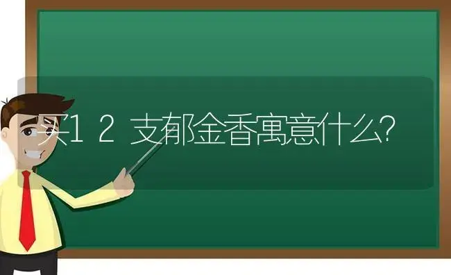 买12支郁金香寓意什么？ | 绿植常识