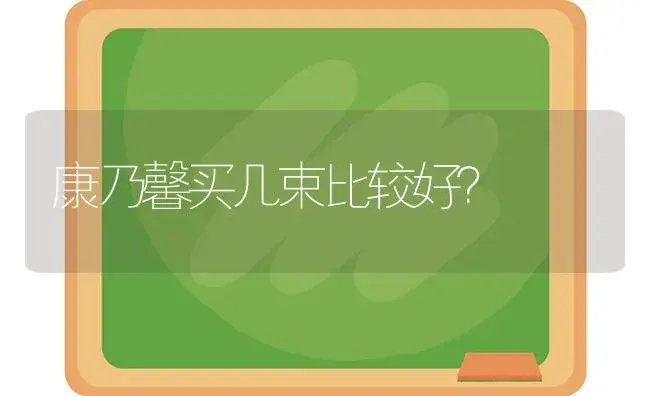 康乃馨买几束比较好？ | 绿植常识