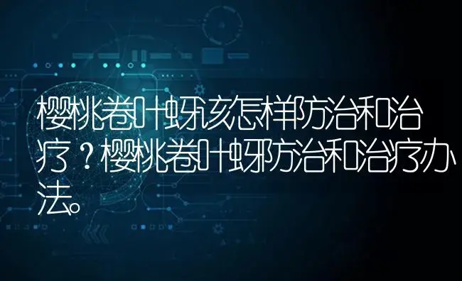 樱桃卷叶蚜该怎样防治和治疗？樱桃卷叶蚜防治和治疗办法。 | 果木种植