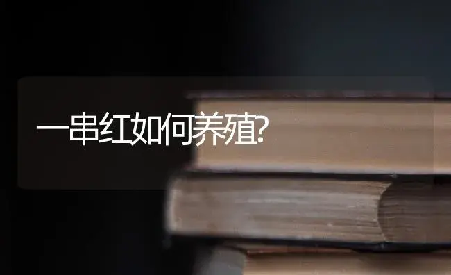 一串红如何养殖? | 特种种植