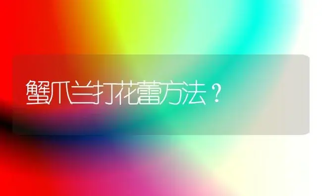 蟹爪兰打花蕾方法？ | 多肉养殖