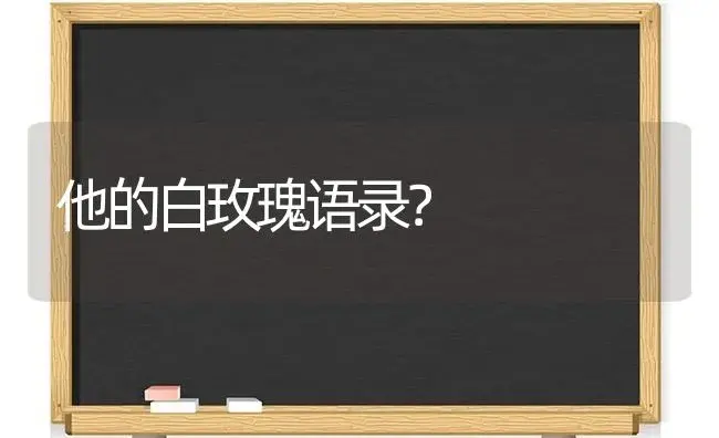 他的白玫瑰语录？ | 绿植常识