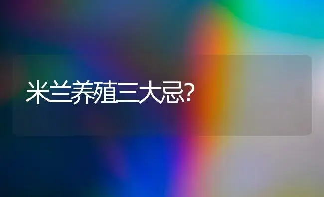 米兰养殖三大忌？ | 绿植常识