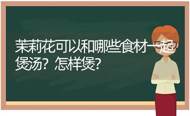 茉莉花可以和哪些食材一起煲汤？怎样煲？ | 绿植常识