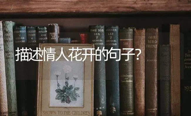 描述情人花开的句子？ | 绿植常识