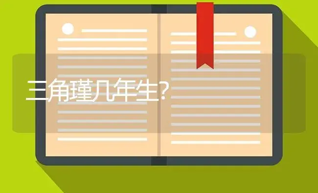 三角瑾几年生？ | 绿植常识