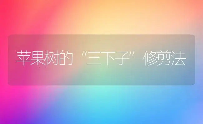 苹果树的“三下子”修剪法 | 果木种植