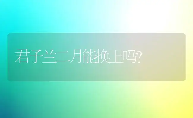 君子兰二月能换上吗？ | 绿植常识