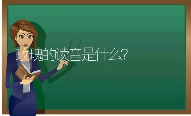 玫瑰的读音是什么？ | 绿植常识