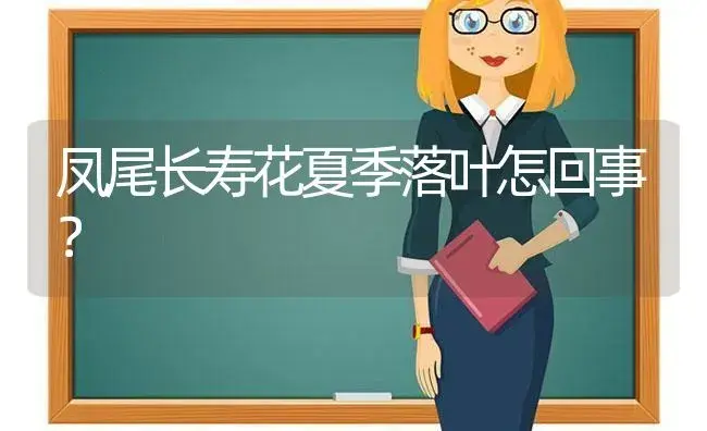 凤尾长寿花夏季落叶怎回事？ | 多肉养殖