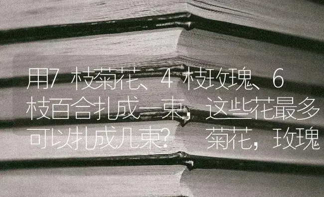 用7枝菊花、4枝玫瑰、6枝百合扎成一束，这些花最多可以扎成几束? 菊花，玫瑰，百合51枝25？ | 绿植常识