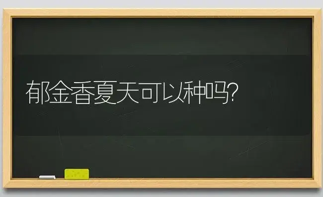 郁金香夏天可以种吗？ | 绿植常识