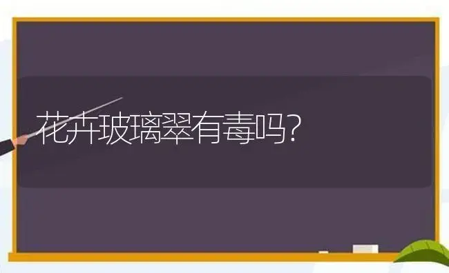 花卉玻璃翠有毒吗？ | 多肉养殖