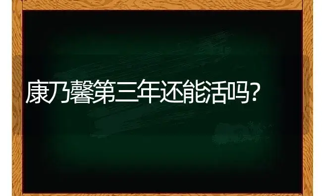 康乃馨第三年还能活吗？ | 绿植常识