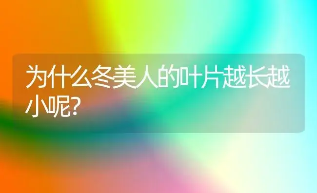 为什么冬美人的叶片越长越小呢？ | 多肉养殖