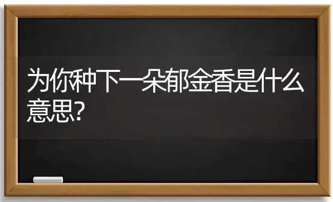 为你种下一朵郁金香是什么意思？ | 绿植常识