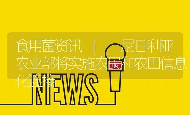 尼日利亚农业部将实施农民和农田信息化连接 | 菌菇种植