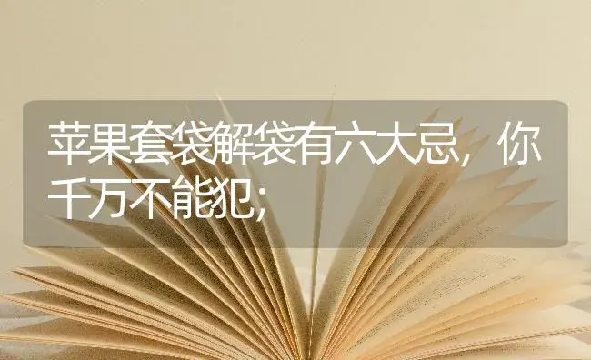 苹果套袋解袋有六大忌，你千万不能犯； | 果木种植