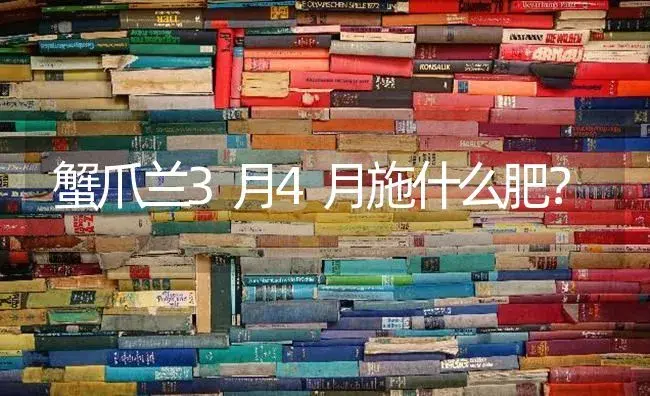 蟹爪兰3月4月施什么肥？ | 多肉养殖