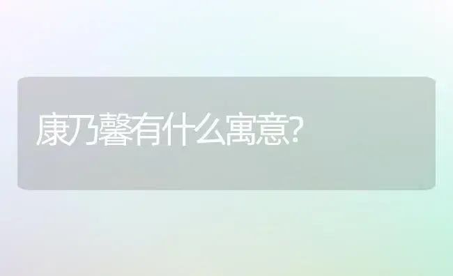 康乃馨有什么寓意？ | 绿植常识