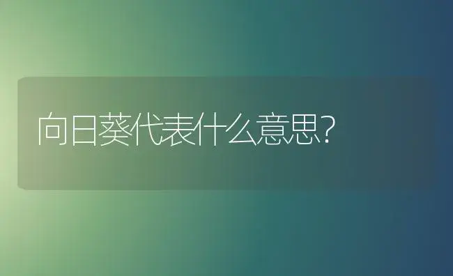 向日葵代表什么意思？ | 家庭养花