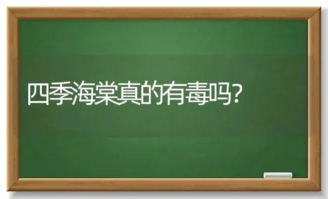 四季海棠真的有毒吗？ | 绿植常识