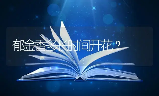 在室内可以养百合吗，我想养在房间里？ | 绿植常识