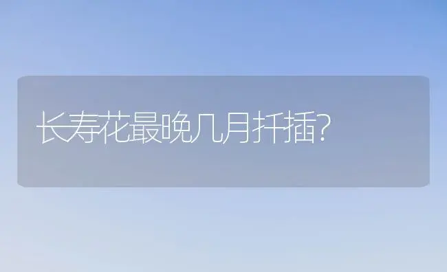 长寿花最晚几月扦插？ | 多肉养殖