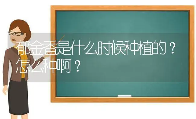 郁金香是什么时候种植的？怎么种啊？ | 绿植常识