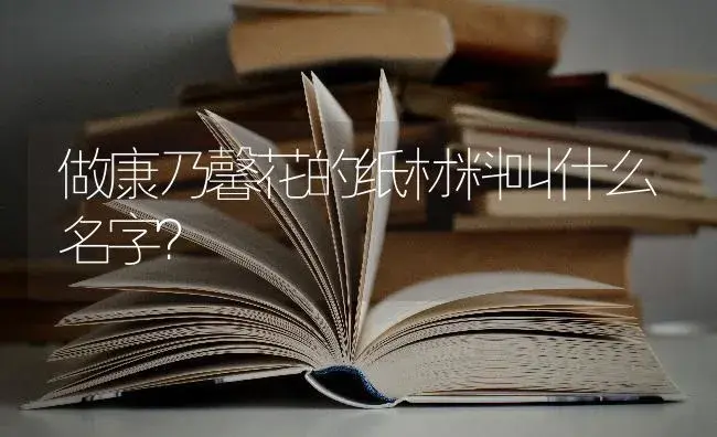 做康乃馨花的纸材料叫什么名字？ | 绿植常识