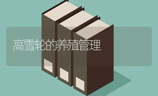 高雪轮的养殖管理 | 特种种植