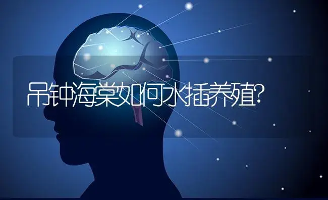 吊钟海棠如何水插养殖? | 特种种植