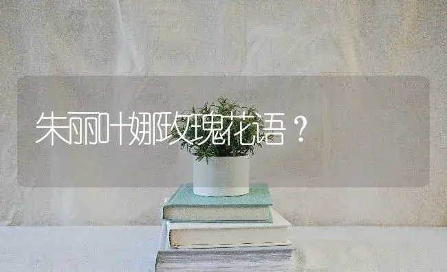 朱丽叶娜玫瑰花语？ | 绿植常识