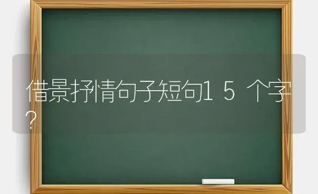 借景抒情句子短句15个字？ | 绿植常识